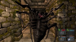 Legend of Grimrock Spiders
