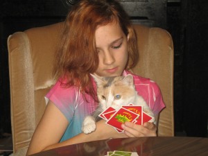 Apples to Apples Cat